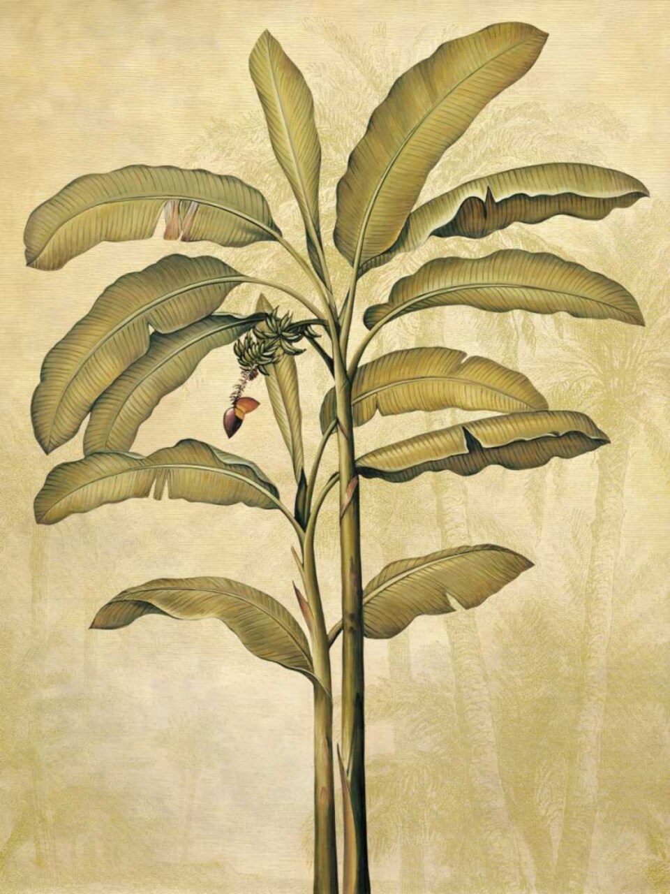 Palms of the Tropics II Poster Print by Jill Deveraux # ILD1458